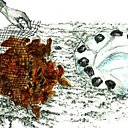 Une couverture pour l'hiver