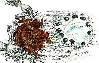 Une couverture pour l'hiver