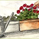 Des jardinières qui résistent à une longue absence.