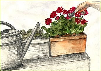 Des jardinières qui résistent à une longue absence.