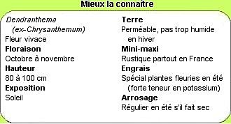 Mieux les connaître !