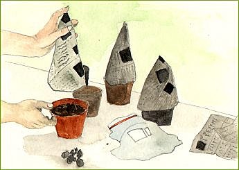 Fleurir les bulbes de printemps en hiver.