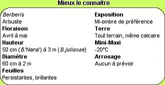 Mieux les connaître