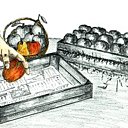 Quand et comment récolter pommes et poires ?