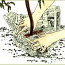 Protéger les jeunes arbres fruitiers