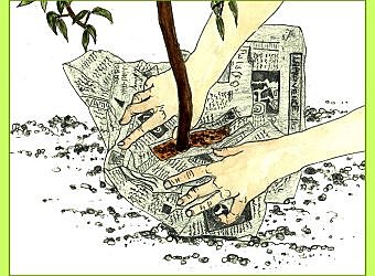 Protéger les jeunes arbres fruitiers