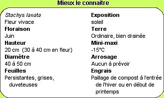 Mieux la connaître en 1 clic !