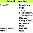 Cliquez pour en savoir + !