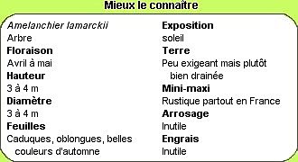 Cliquez pour en savoir + !