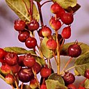 Seule exigence : du soleil.