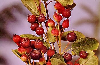 Seule exigence : du soleil.