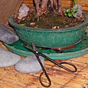 Pour la taille de précision offrez des ciseaux longs et droits.