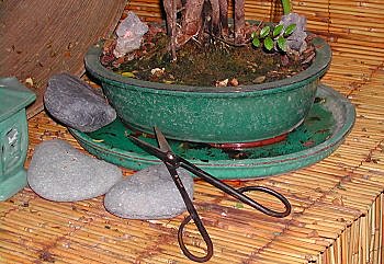 Pour la taille de précision offrez des ciseaux longs et droits.