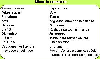 Tout savoir !