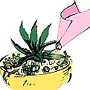 4- recouvrir la terre visible avec du sable