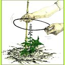 Comment soutenir les tiges hautes ?