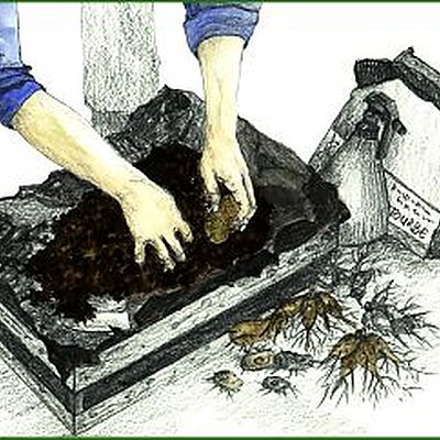 Dahlia, bégonia, prêts ? Partez...