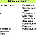 Tour savoir sur le houx !