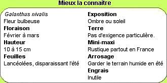 Mieux les connaître en un clic !