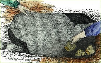 Réchauffez la terre avec du plastique noir.