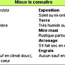 Houttuynia... plus facile à comprendre qu'à dire.