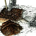 Trou de plantation : Ne lésinez ni sur la profondeur ni sur l'amélioration de la terre !