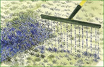 Traiter sans se tromper