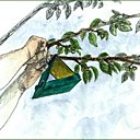 Voilà comment protéger ses prunes des carpocapses