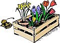 Disposer narcisses, tulipes jacinthes, crocus par groupe de 3