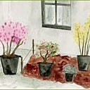 Composez facilement avec les arbustes