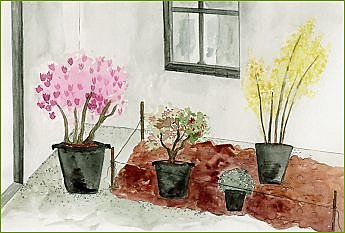 Composez facilement avec les arbustes