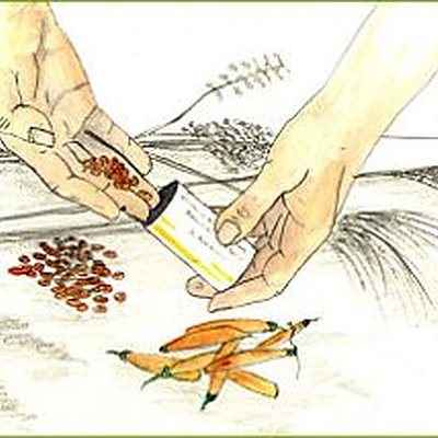 Semez gratuitement les graines de vos fleurs