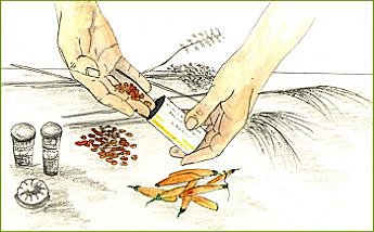 Semez gratuitement les graines de vos fleurs