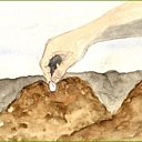 Vous préférez l'ail blanc le plus précoce et l'ail violet les plus forts en goût ?