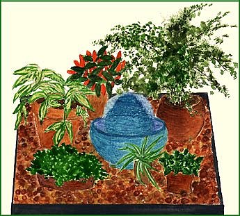 Humidité pour les plantes d'intérieur !