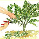 Taille : rattrapez le temps perdu...