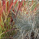 Collection automne-hiver