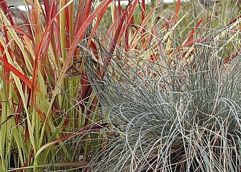 Collection automne-hiver