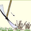 Débroussailler un jardin en friche