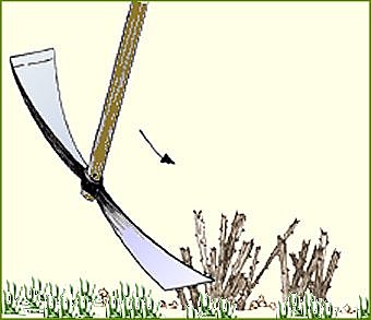 Débroussailler un jardin en friche