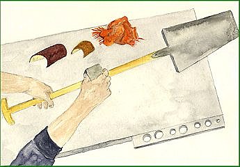 Soignez vos outils à manche