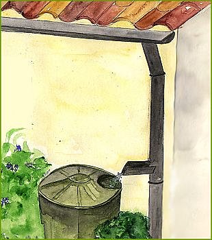 récupérez cette eau gratuite