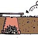 Le bourdon va alors se glisser dessous pour atteindre son nid