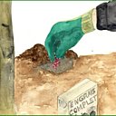 Engraissez les fruitiers