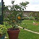 "La terre est bleue comme une orange", même au nord de la Loire