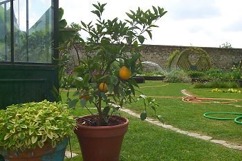 "La terre est bleue comme une orange", même au nord de la Loire