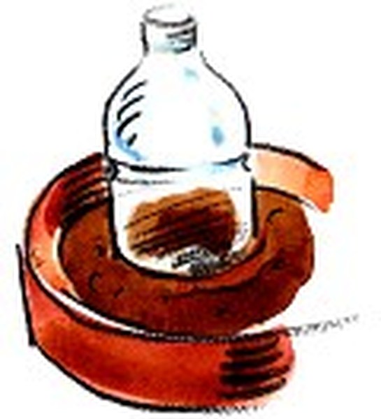Coupe une bouteille d'eau en plastique en deux et recouvre ton pot avec la partie comportant le goulot. Laisse-le ouvert (sans le bouchon). Dès que les premières feuilles seront bien développées, tu enlèveras cette protection.