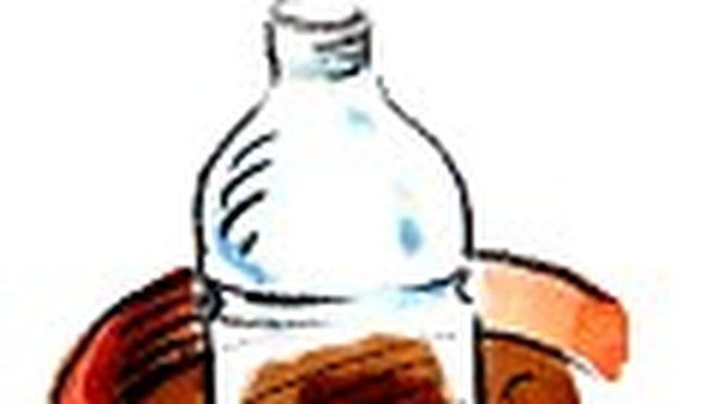 Coupe une bouteille d'eau en plastique en deux et recouvre ton pot avec la partie comportant le goulot. Laisse-le ouvert (sans le bouchon). Dès que les premières feuilles seront bien développées, tu enlèveras cette protection.