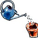 Tasse avec les doigts et arrose avec un arrosoir muni d'une pomme. Place à la chaleur, devant une fenêtre. N'oublie pas d'arroser régulièrement pour que le terreau soit toujours humide.