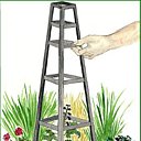 Tuteurez avec panache